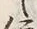 Character 住