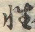 Đã định vị 性