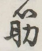筋の位置