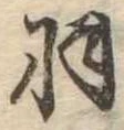 已定位羽