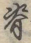 位置 確認된 脊