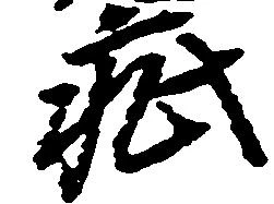 已定位疵