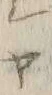 「ヤ」字