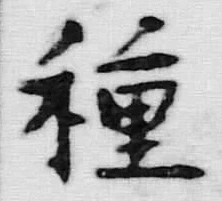 Chữ 種