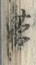 「帯」字