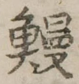 已定位鰻