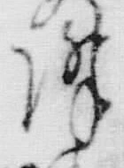 Chữ 互