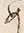 文字め