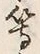 文字等