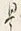 𡨸是