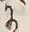 Character 次