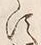 「依」字