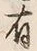 Chữ 有