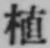 文字 植
