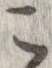 已定位未指定