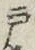 文字 戸