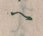 已定位𛂹