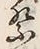𡨸礼