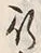 文字 行