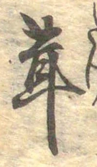 位置定マレル茸