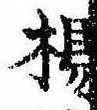已定位楊