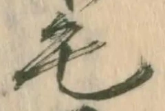 字毛