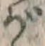 文字が