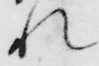 “知”字