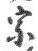 文字宗