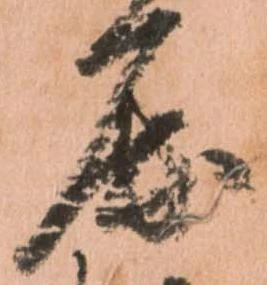 位置定マレル屈