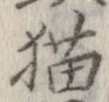 猫 위치 확인됨