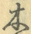 已定位木
