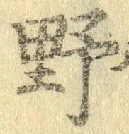 位置 確認된 野