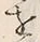 “以”字