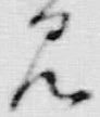文字相