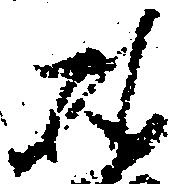 雅の位置
