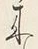 Character 来