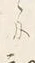 字和