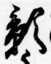 位置 確認된 影