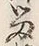 「留」字