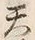 Character 天