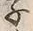 字子