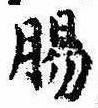 Đã định vị 腸