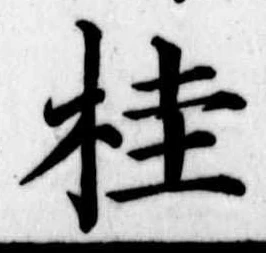 桂の位置