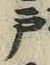 文字 戸