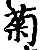 글자 菊