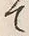 字脇