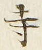 𡨸寺