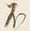 文字不