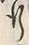 文字行